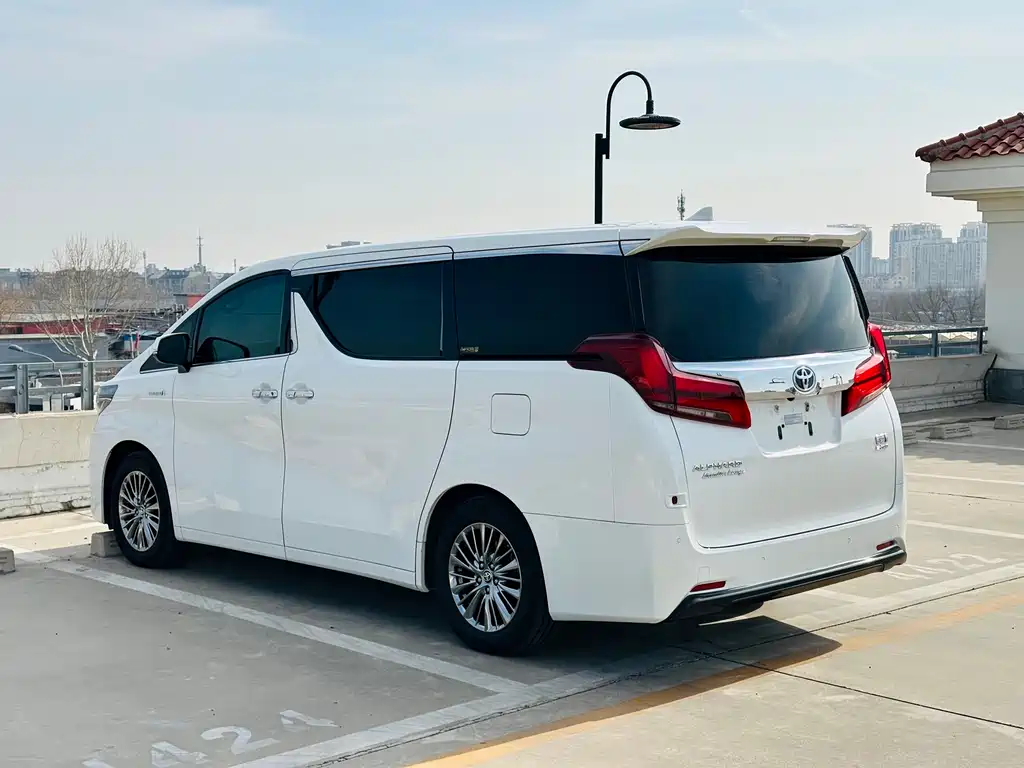 Alfa 2021 Shuangqing 2.5L Premium Edition купить на сайте DeffCars