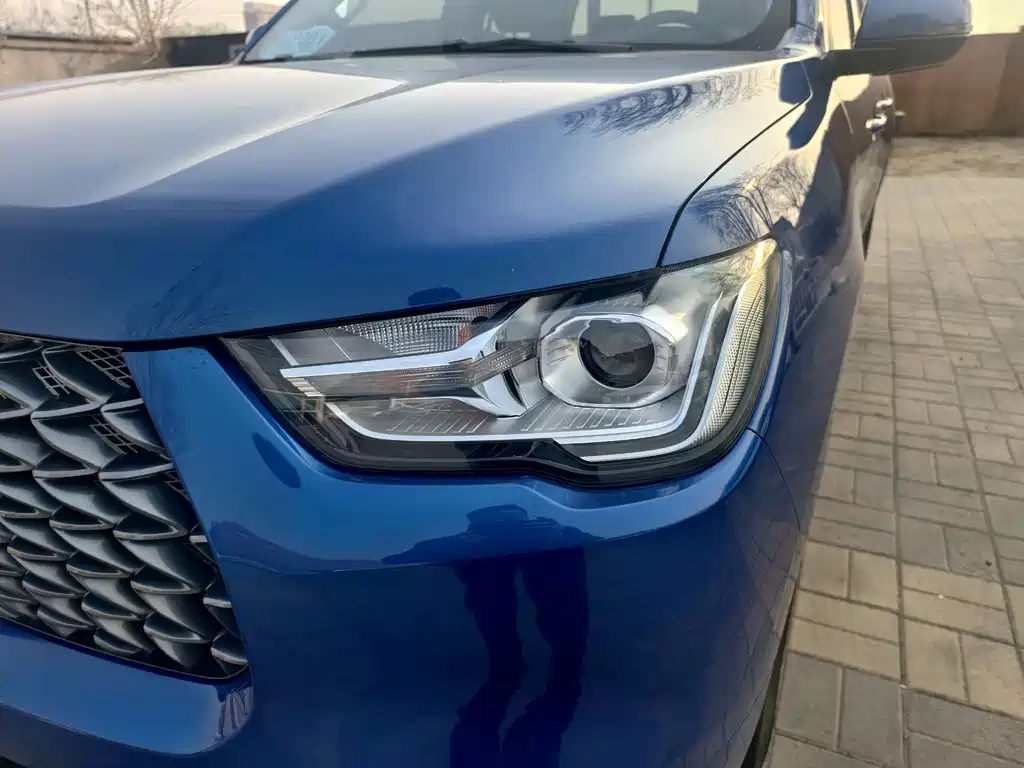 Cannon 2019 2.0T commercial version automatic gasoline two-wheel drive elite long box GW4C20B купить на сайте DeffCars