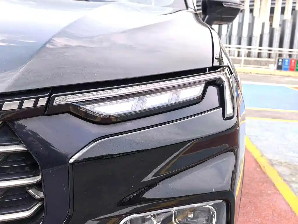 Lingrui 2023 EcoBoost 170 collar type купить на сайте DeffCars