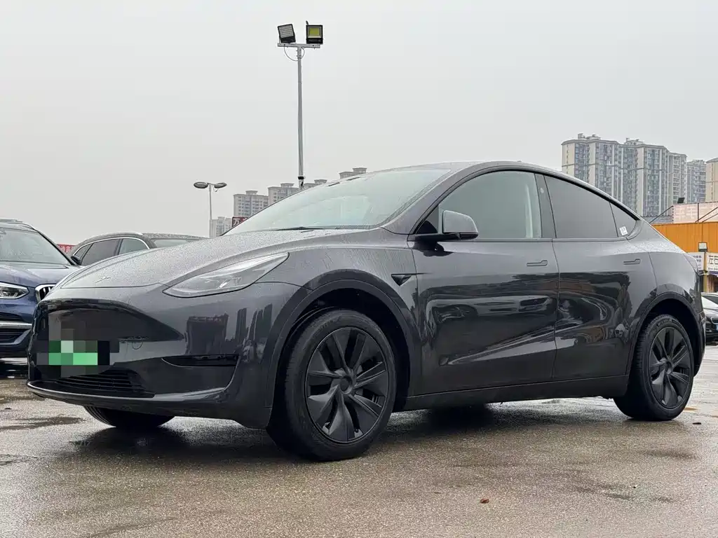 Model Y 2024 rear-wheel drive version купить на сайте DeffCars