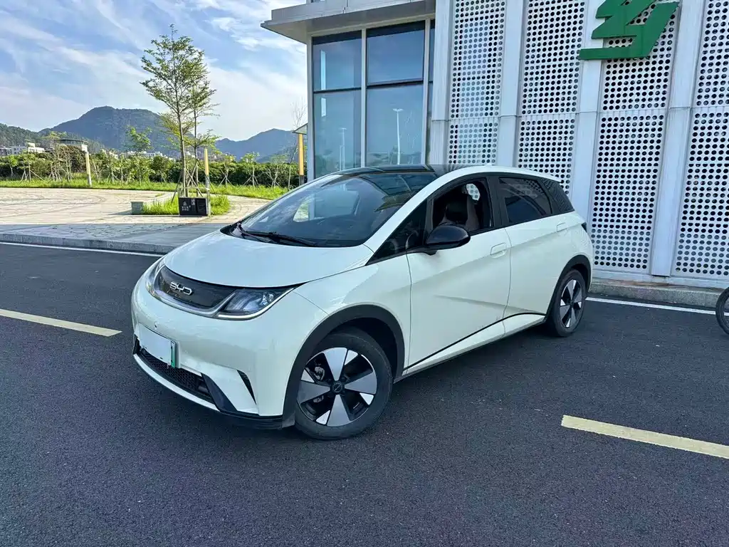 Dolphin 2023 420km Fashion Edition купить на сайте DeffCars