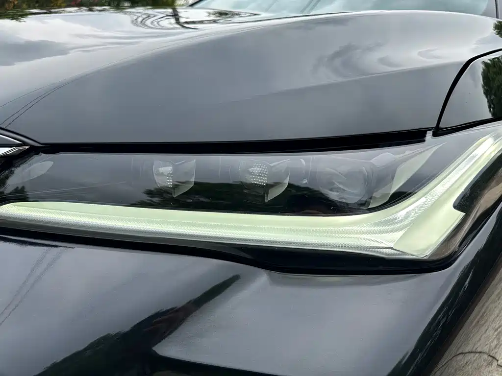 Asia Dragon 2023 2.0L Deluxe Edition купить на сайте DeffCars