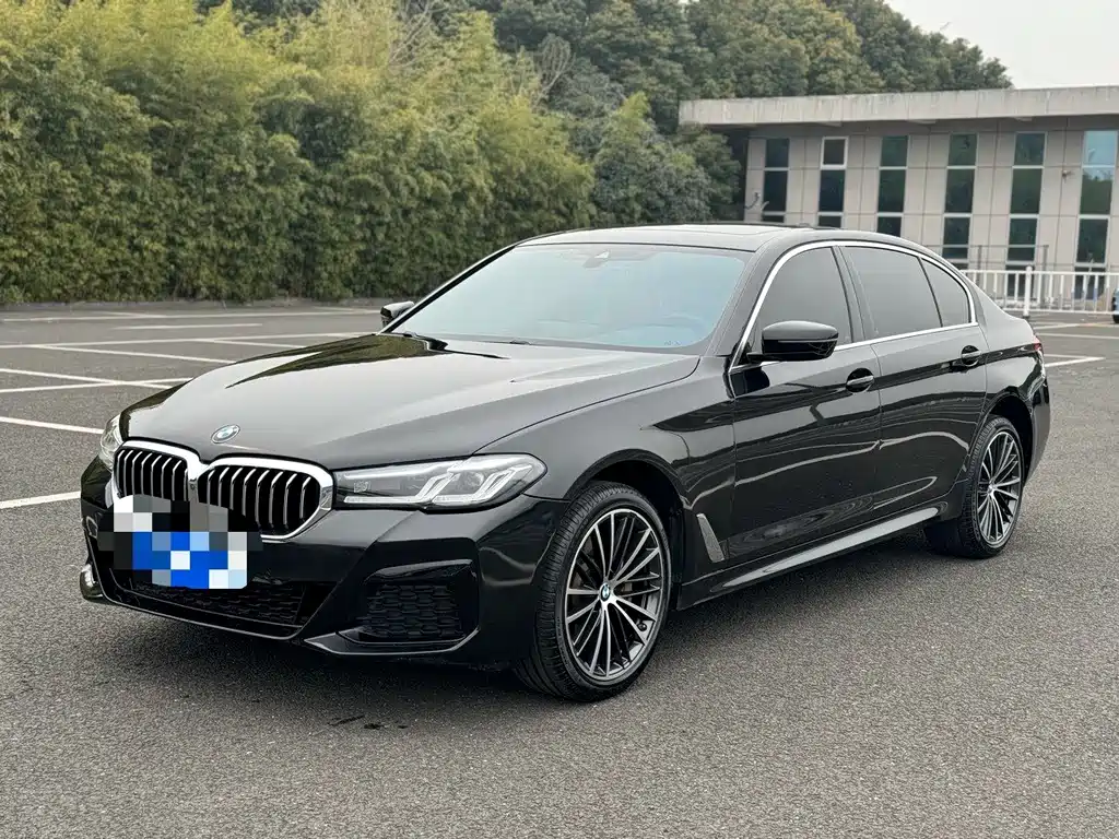 BMW 5 Series 2021 530Li xDrive M Sports Package купить на сайте DeffCars
