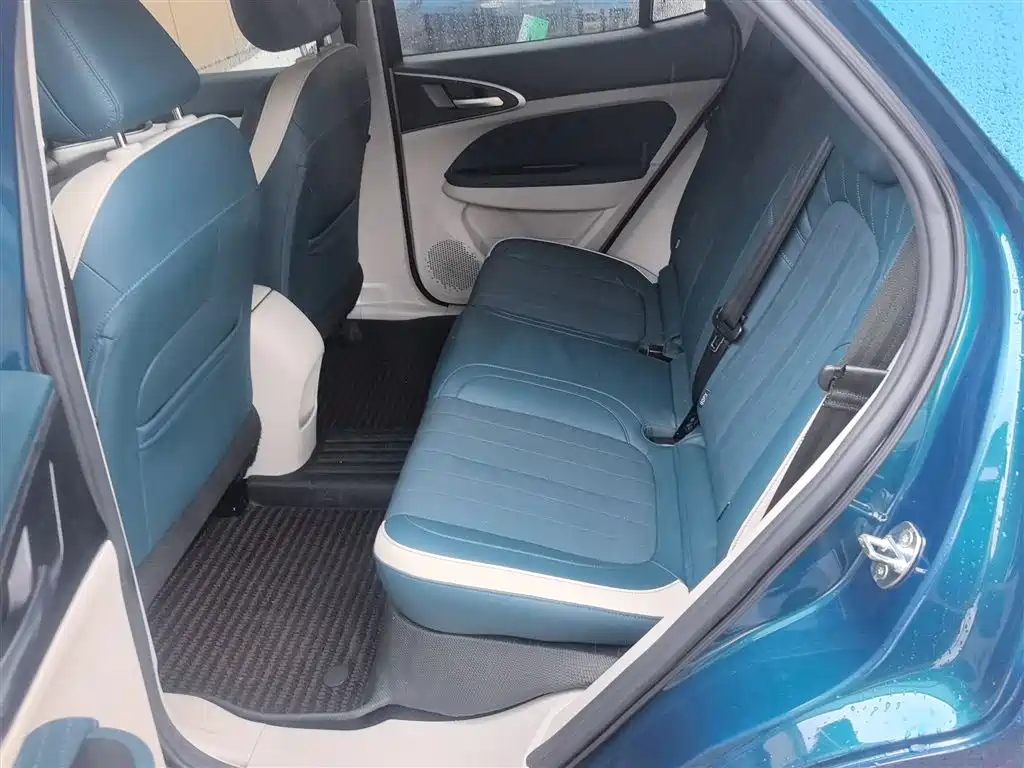 Euler Good Cat 2023 model 401km standard battery life luxury model lithium iron phosphate купить на сайте DeffCars