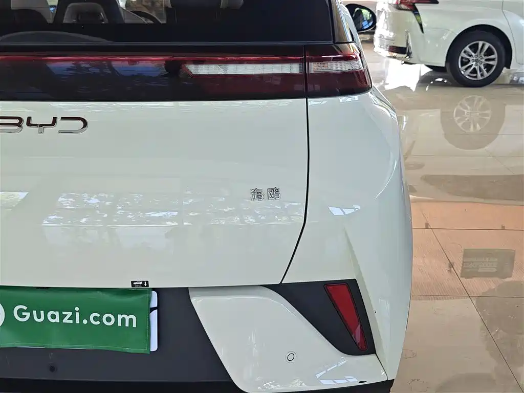 Seagull 2025 305km active version купить на сайте DeffCars