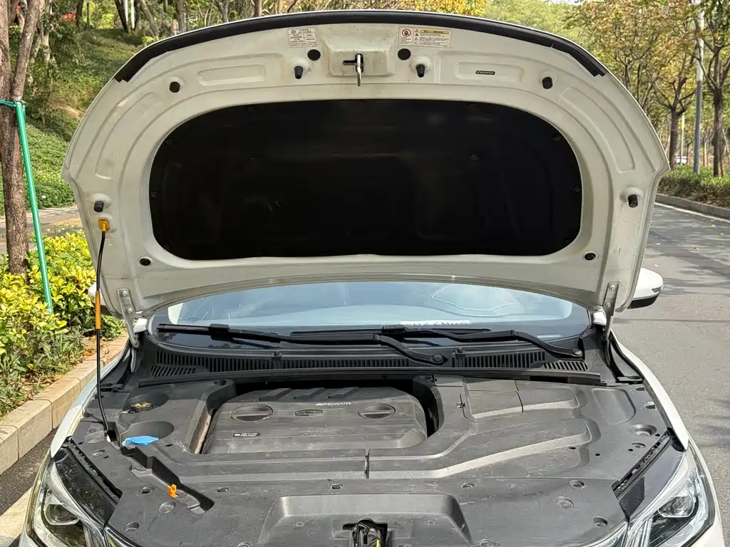 Binrui 2019 200T DCT Binzhi Edition купить на сайте DeffCars