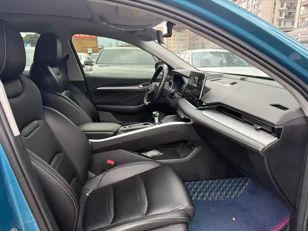 Xingrui 2021 2.0TD luxury model купить на сайте DeffCars