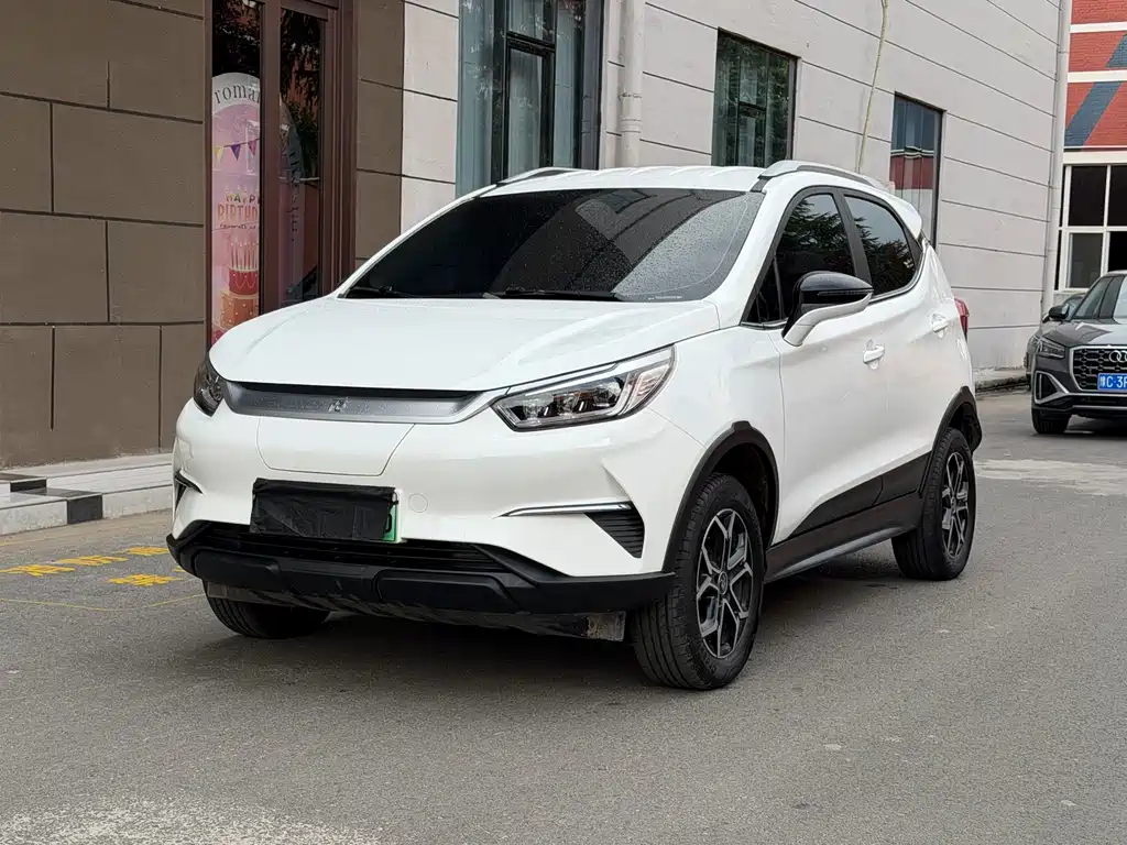 Yuan Pro 2021 must love the Lifetime Edition купить на сайте DeffCars