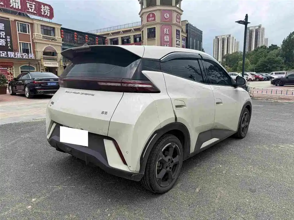 Seagull 2024 Honor Edition 305km Free Edition купить на сайте DeffCars
