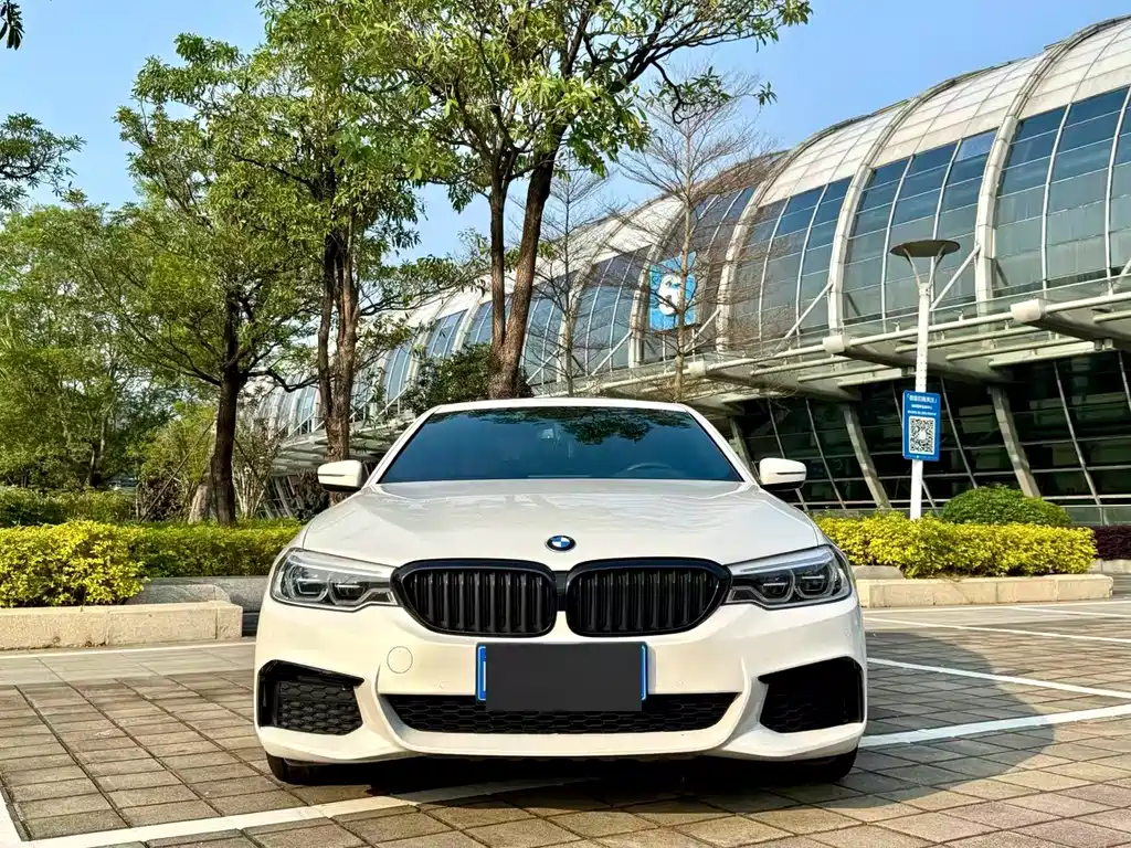 BMW 5 Series 2020 530Li xDrive M Sports Package купить на сайте DeffCars