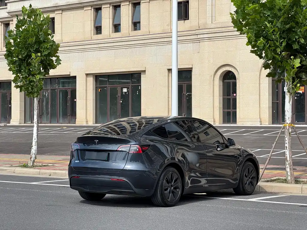 Model Y 2024 rear-wheel drive купить на сайте DeffCars