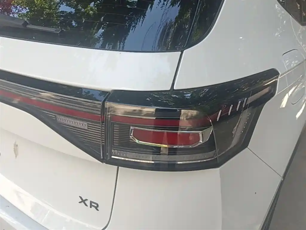 Tuyue 2025 Xinrui 300TSI Ruixiang Edition купить на сайте DeffCars