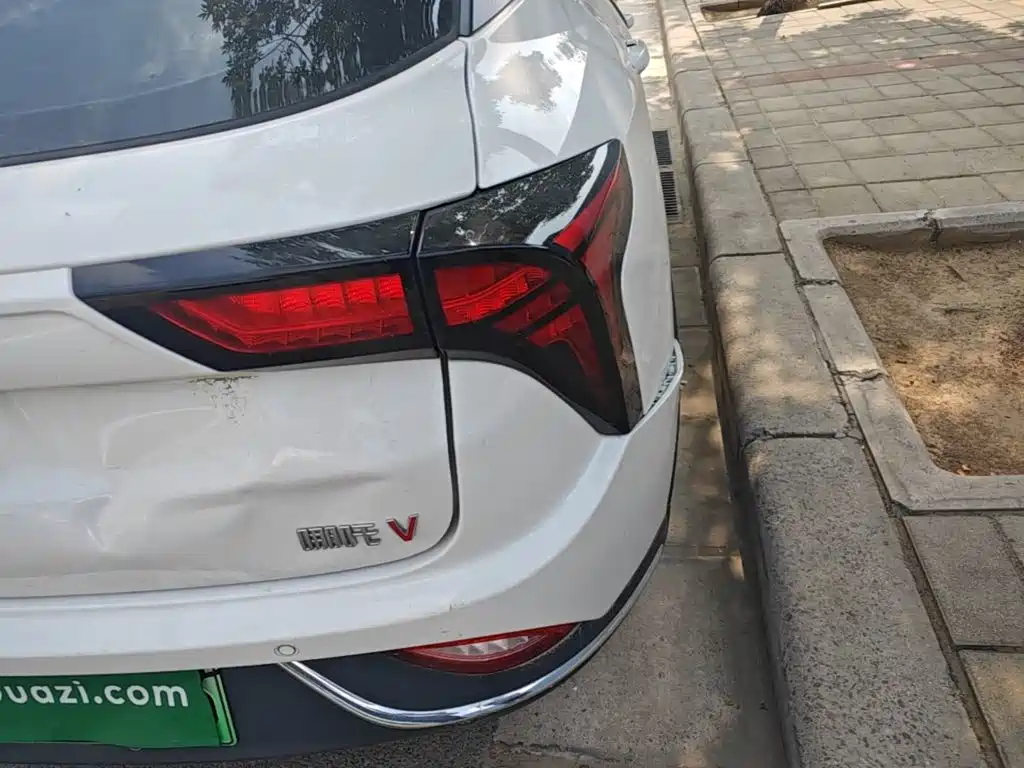 V 2022 Chao 300 Lite lithium iron phosphate купить на сайте DeffCars