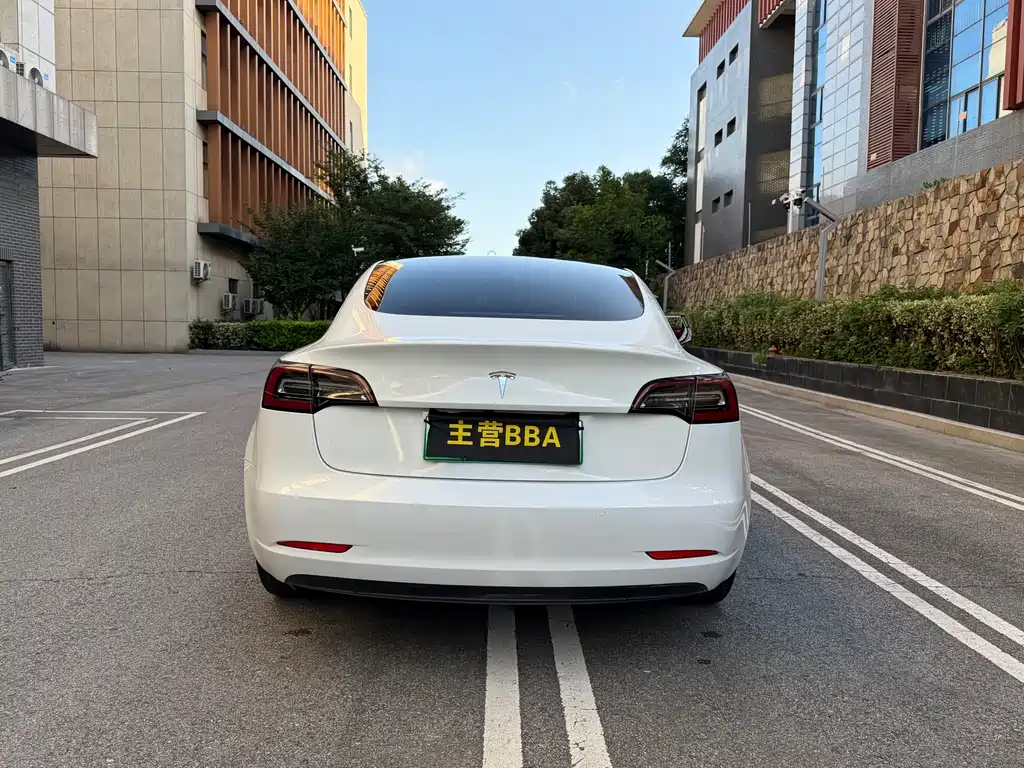 Model 3 2019 standard range rear drive upgraded version купить на сайте DeffCars