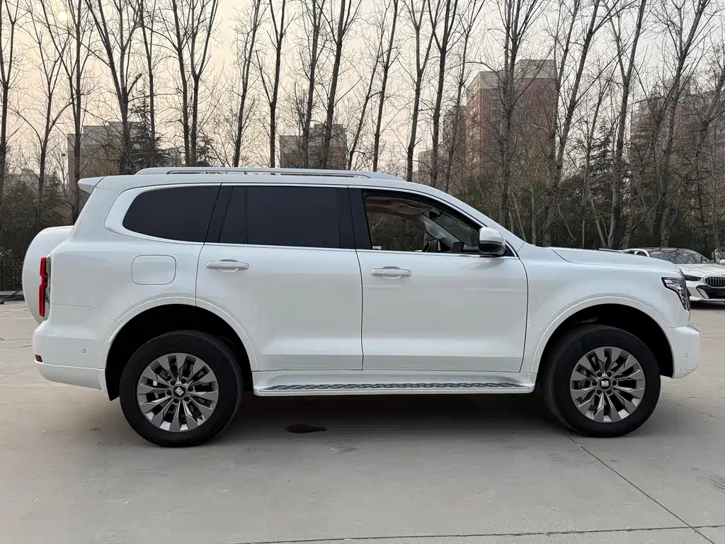 Tank 500 New Energy 2025 Hi4-Z купить на сайте DeffCars