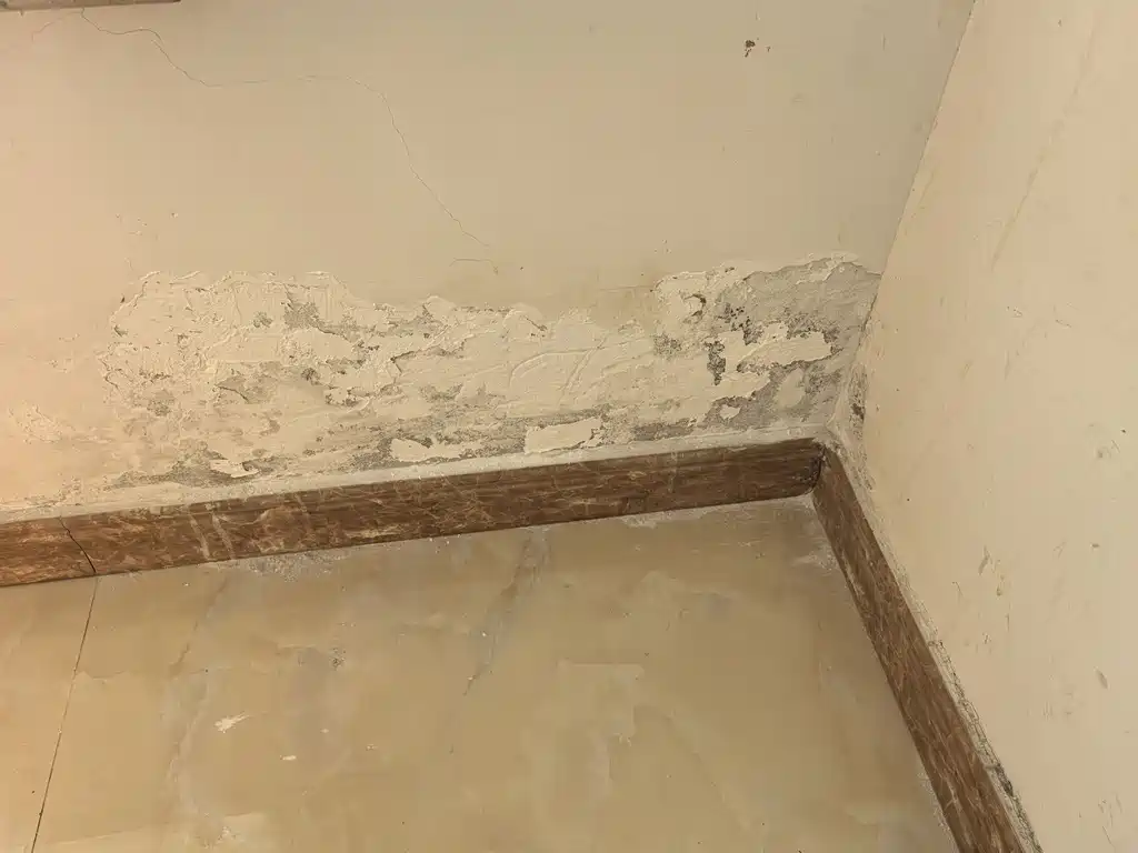 Vios 2017 1.5L CVT Enactus Edition купить на сайте DeffCars