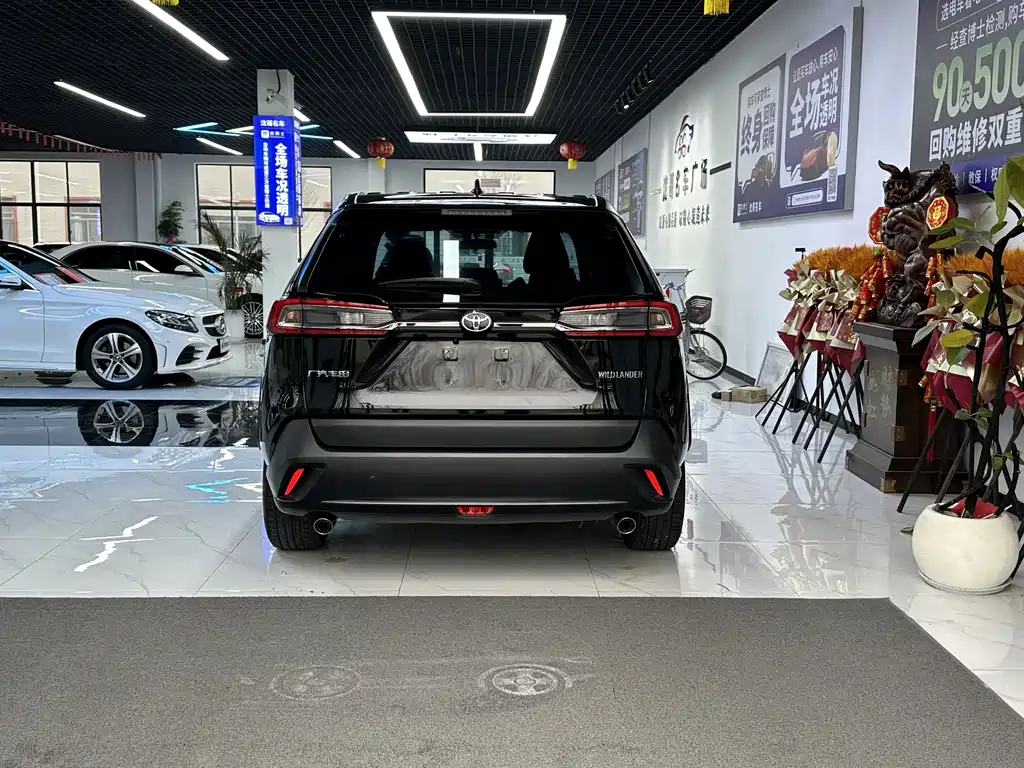 Wilanda 2023 2.0L CVT two-wheel drive leading version купить на сайте DeffCars