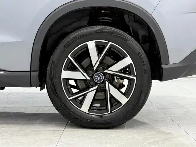 Song Pro New Energy 2024 Honor Edition DM-i 71KM Pilot Model купить на сайте DeffCars