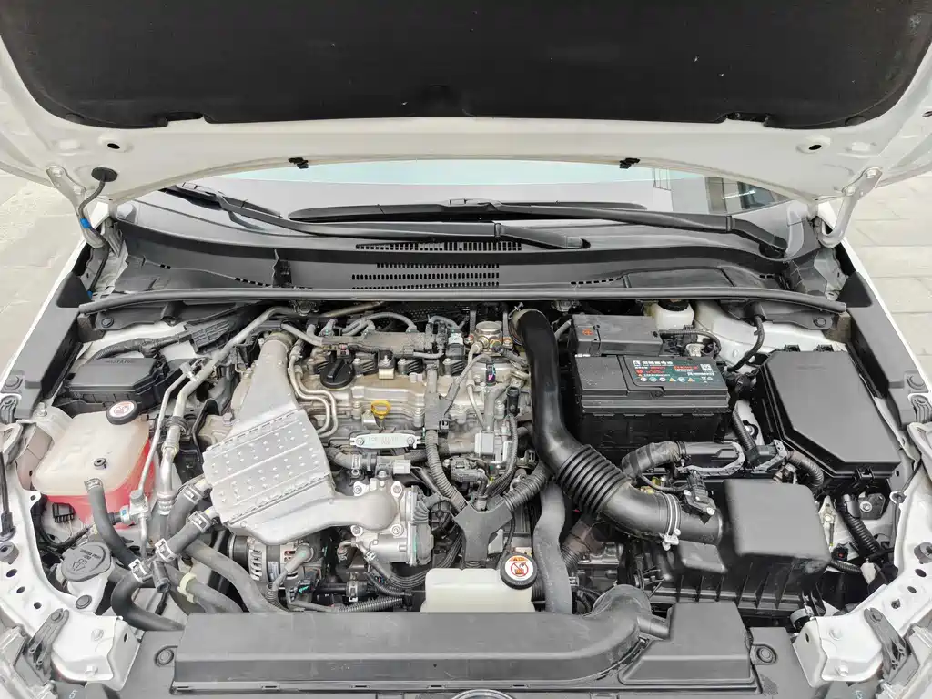 Ralink 2019 185T CVT Deluxe Edition National V купить на сайте DeffCars