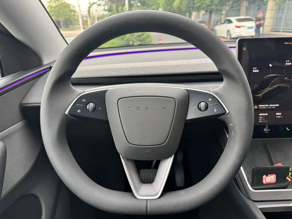 Model Y 2025 rear-wheel drive version купить на сайте DeffCars