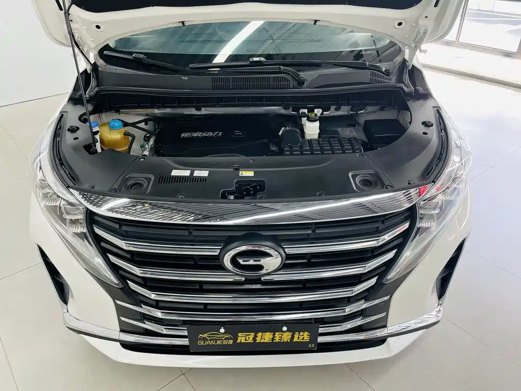 Trumpchi M8 2021 Lead Show Series 390T Exclusive Edition купить на сайте DeffCars