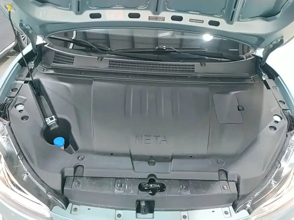 V 2022 Trendy 300 Lite Lithium Iron Phosphate купить на сайте DeffCars