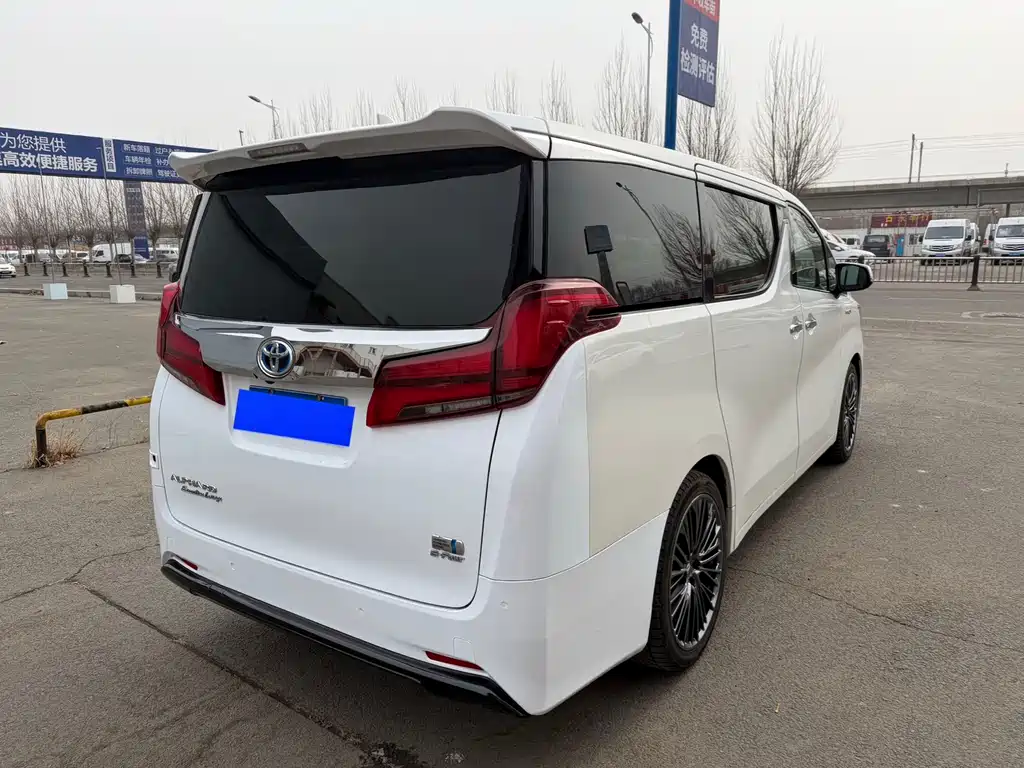 Alfa 2020 Shuangqing 2.5L Premium Edition купить на сайте DeffCars