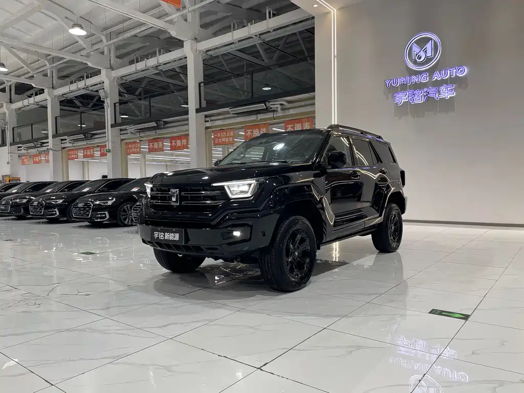 Tank 400 New Energy 2024 Hi4-T Off-Road Version купить на сайте DeffCars