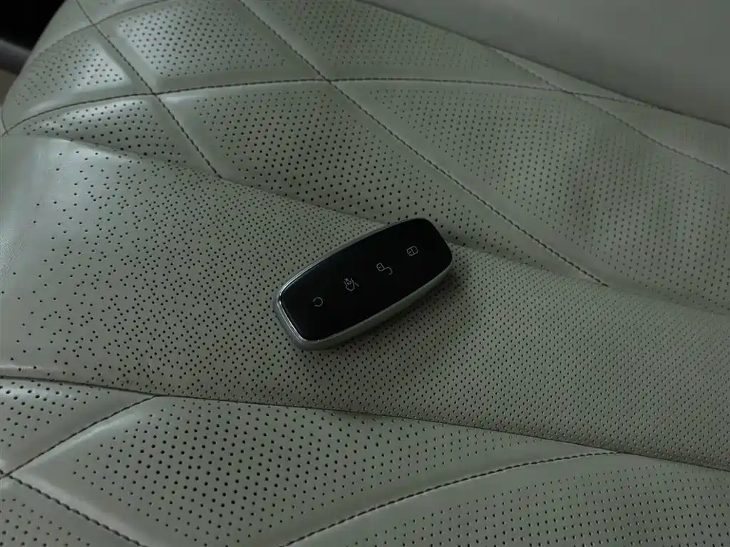 Denza D9 2022 DM-i 1040 Premium Type купить на сайте DeffCars