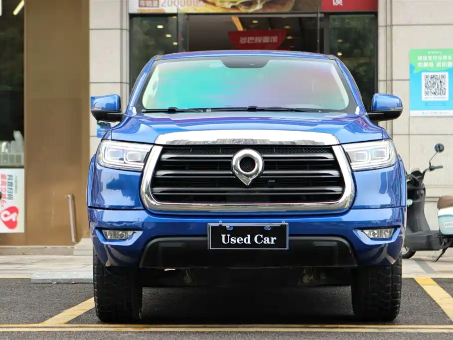 Cannon 2019 2.0T automatic gasoline two-wheel drive comfort version GW4C20B купить на сайте DeffCars