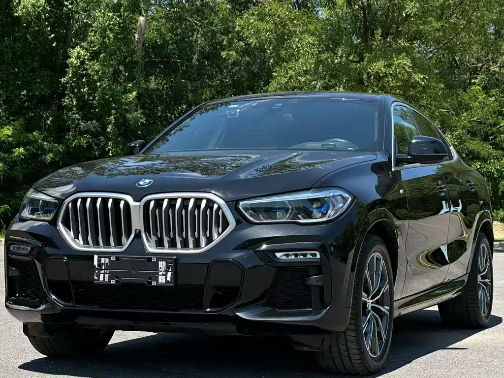 BMW X6 2021 xDrive40i M Sports Package купить на сайте DeffCars