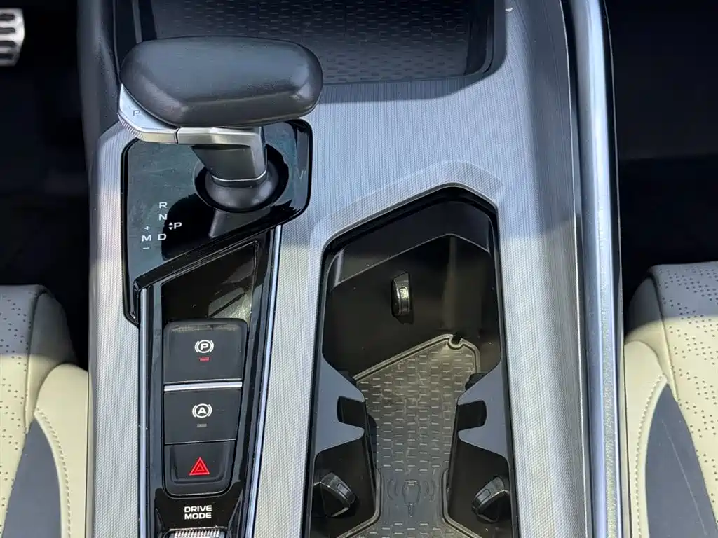 Xingrui 2021 2.0TD Premium Model купить на сайте DeffCars