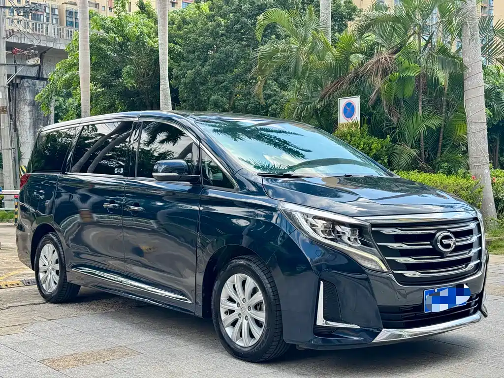 Trumpchi M8 2020 Pilot Model 390T Exclusive Edition купить на сайте DeffCars