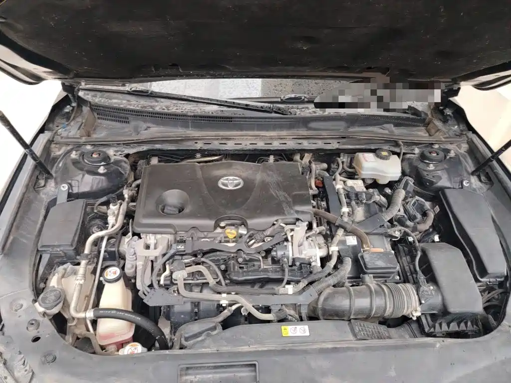 Asia Dragon 2019 Shuangqing 2.5L Limited Flagship Edition National VI купить на сайте DeffCars