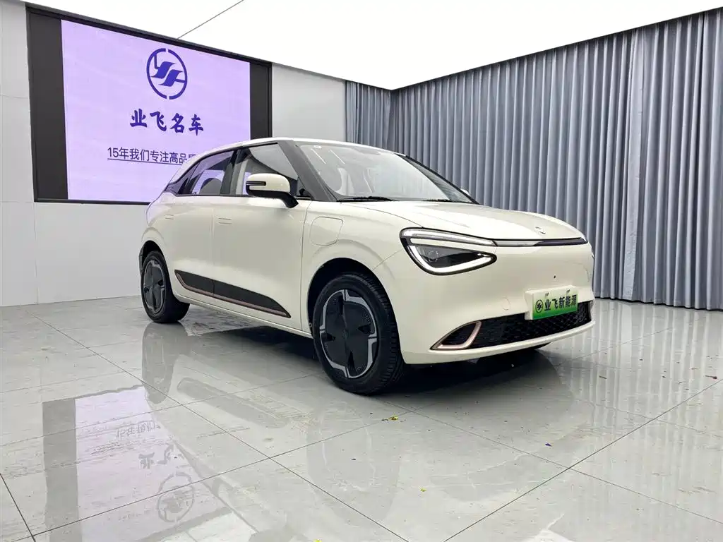 Nano 01 2026 original model 330Plus купить на сайте DeffCars