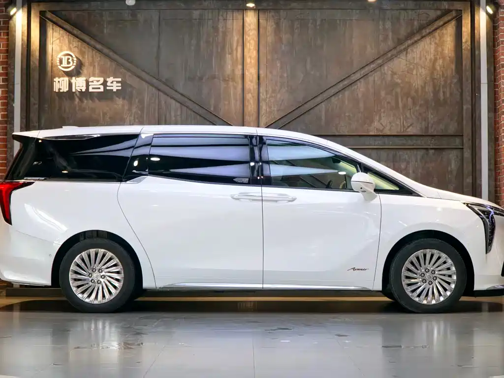 Century 2023 2.0T four-seater private version купить на сайте DeffCars