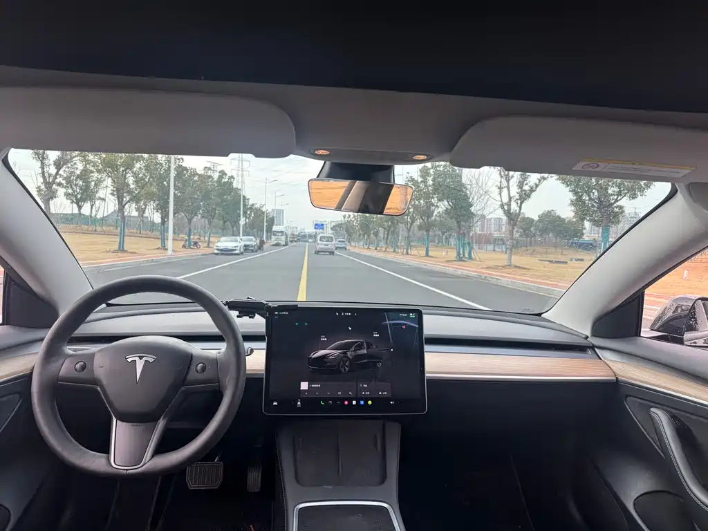 Model 3 2022 rear-wheel drive version купить на сайте DeffCars