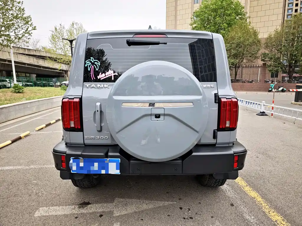 Tank 300 2023 City Edition 2.0T Very Stylish купить на сайте DeffCars