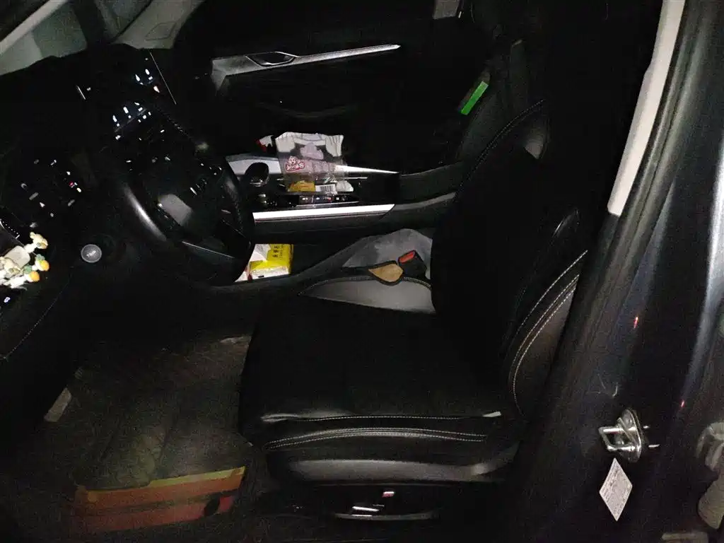 Xingrui 2021 2.0TD luxury model купить на сайте DeffCars