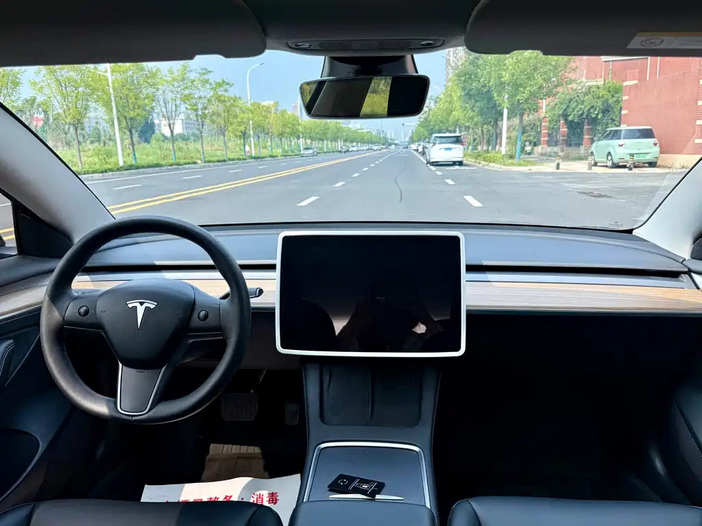 Model 3 2022 rear-wheel drive version купить на сайте DeffCars