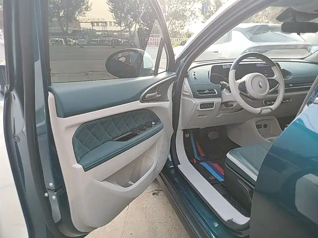 Euler Good Cat 2021 model 400km standard battery life Venus version ternary lithium купить на сайте DeffCars