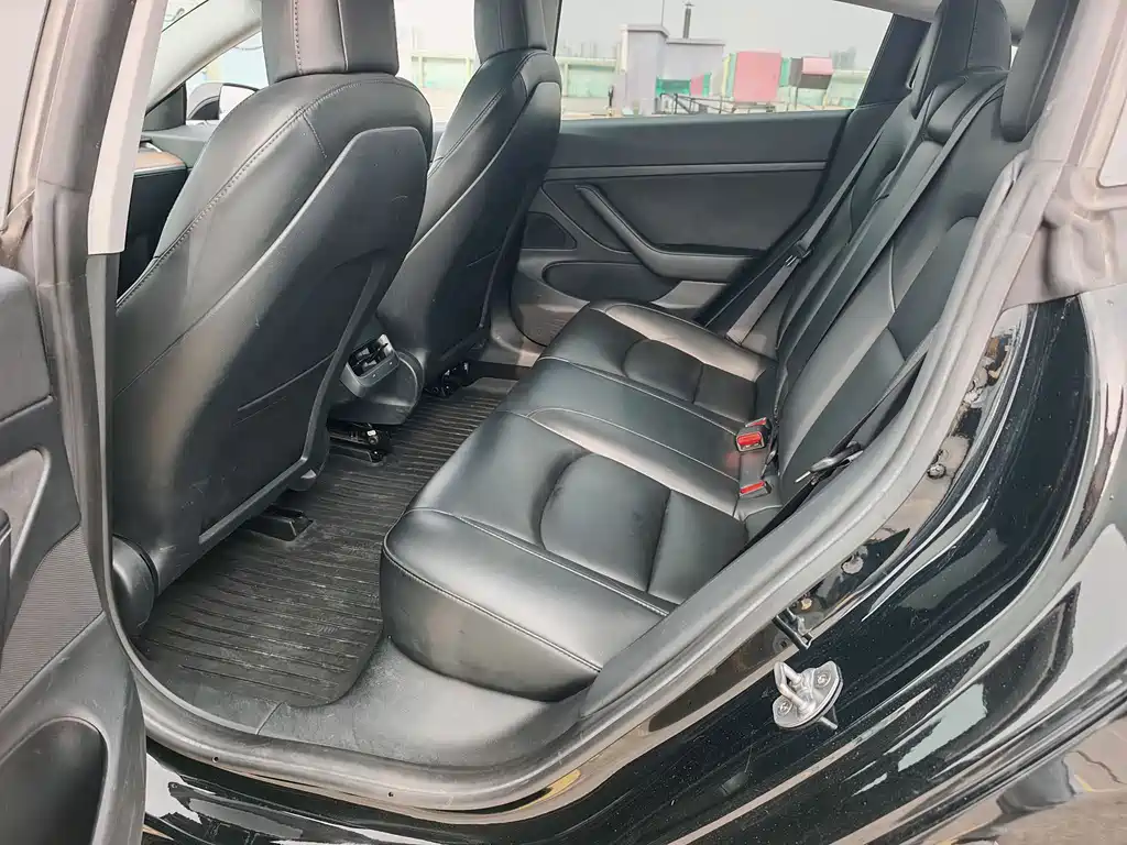Model 3 2020 Standard Range Rear Drive Upgraded Version купить на сайте DeffCars