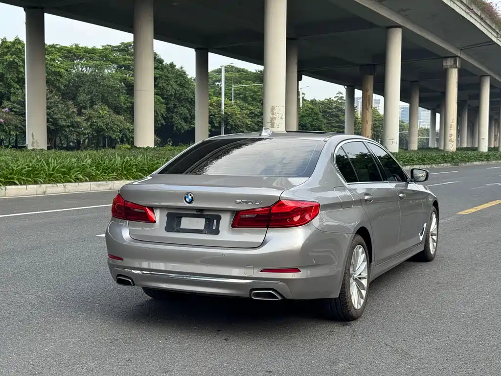 BMW 5 Series 2020 530Li Exclusive Luxury Package купить на сайте DeffCars
