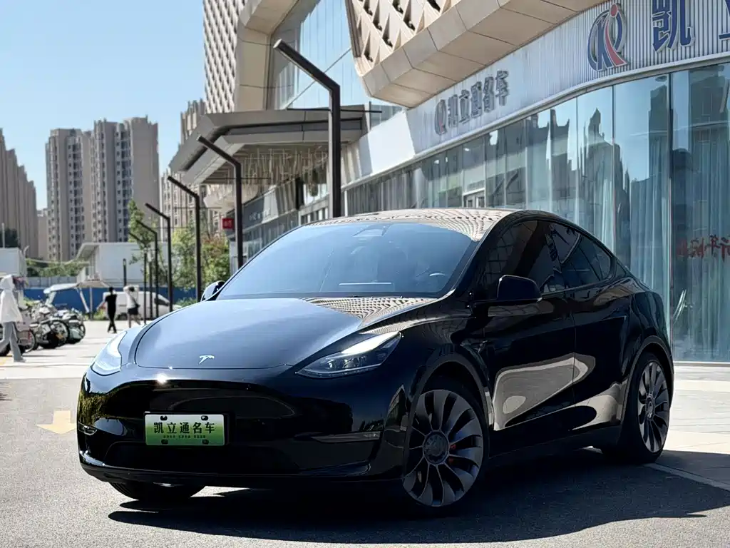 Model Y 2023 high-performance all-wheel drive version купить на сайте DeffCars