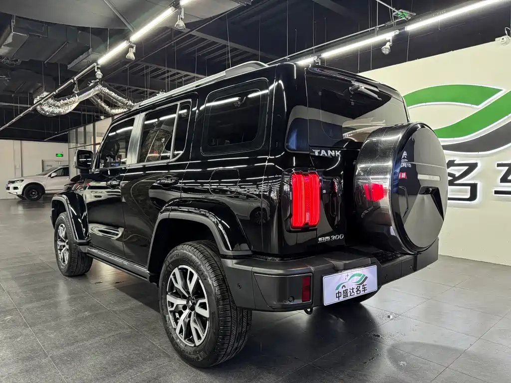 Tank 300 2023 City Edition 2.0T Very Stylish купить на сайте DeffCars