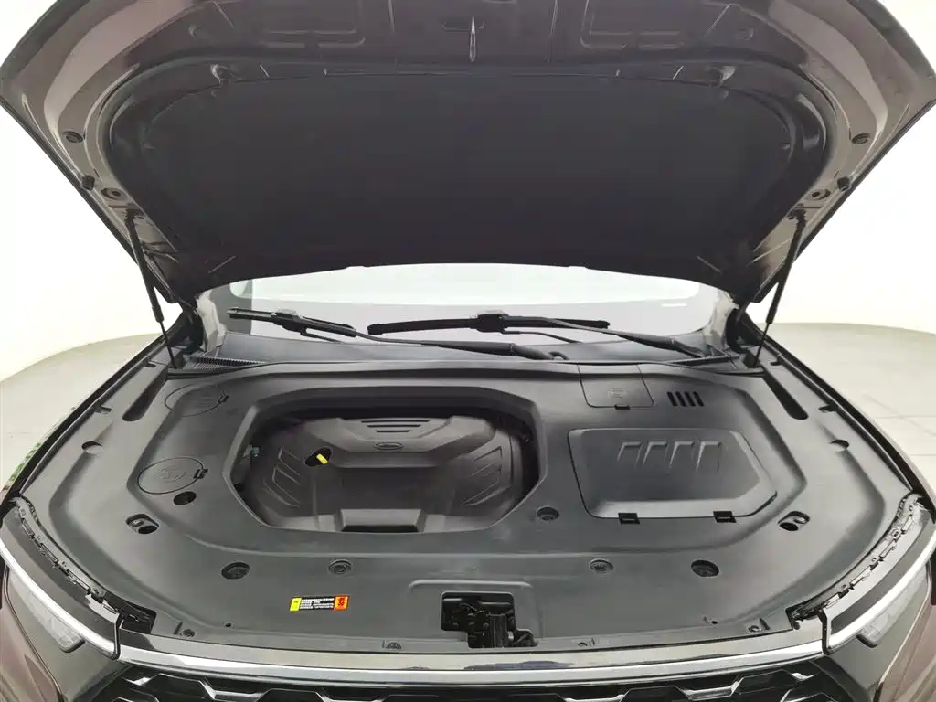 Lingyu 2021 EcoBoost 225 Collar Type 6 Seats купить на сайте DeffCars