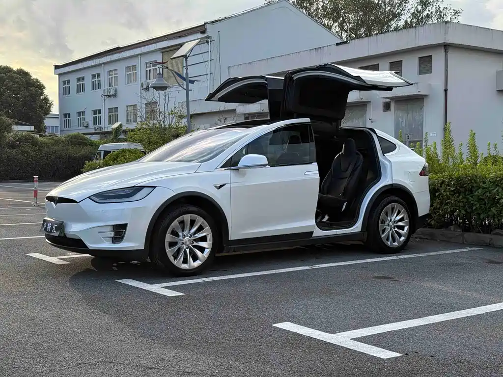 Model X 2017 Model X 100D Long Range Edition купить на сайте DeffCars