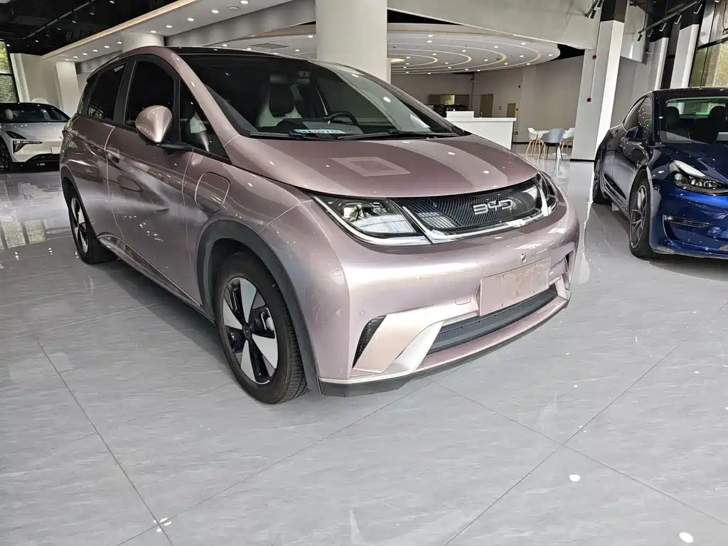 Dolphin 2023 420km Fashion Edition купить на сайте DeffCars