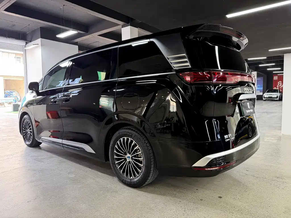 Denza D9 2022 DM-i 1040 Premium Type купить на сайте DeffCars