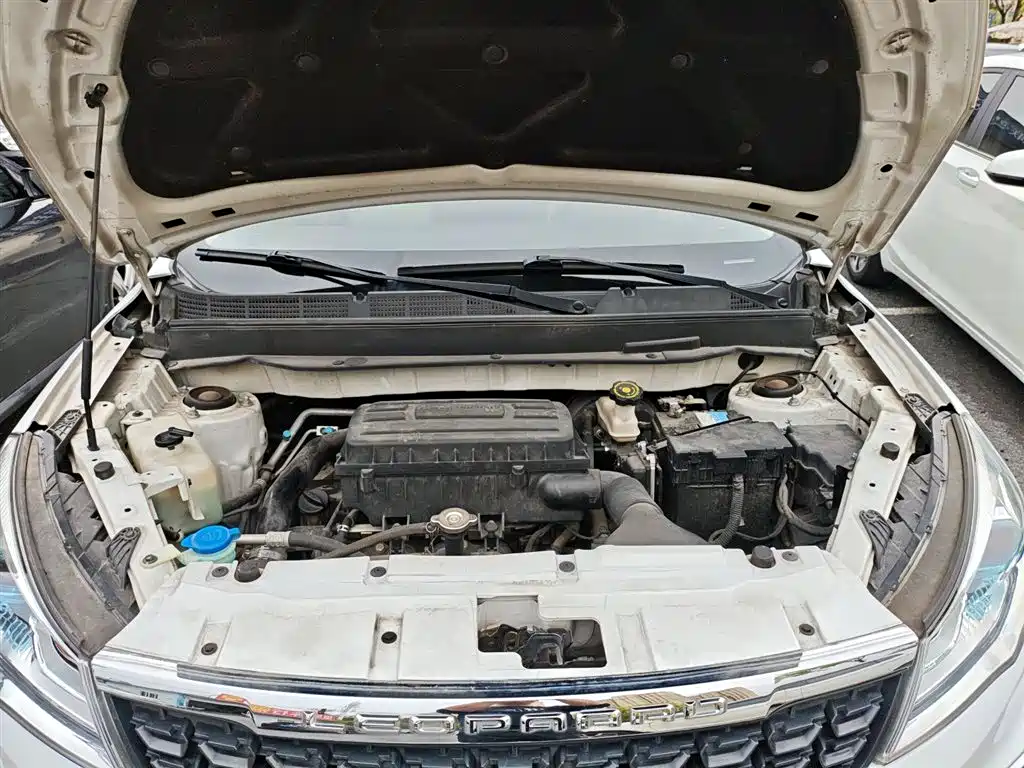 Cheetah CS9 2018 1.5T CVT powerful model купить на сайте DeffCars